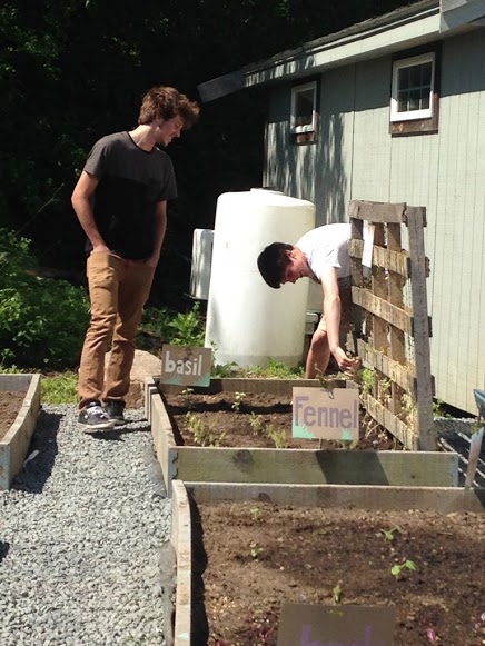 Seniors Dylan Craybeck and WInslow Lewis working on the school garden as part of last year's Gloucester U program.