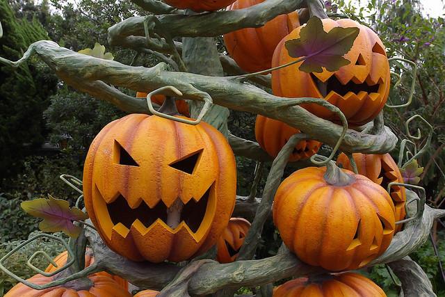 Gloucester encourages safe Halloween