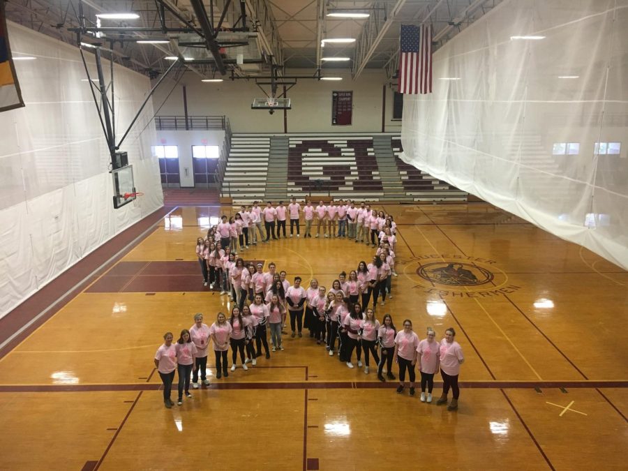 Tickled pink: GHS holds annual breast cancer research fundraiser