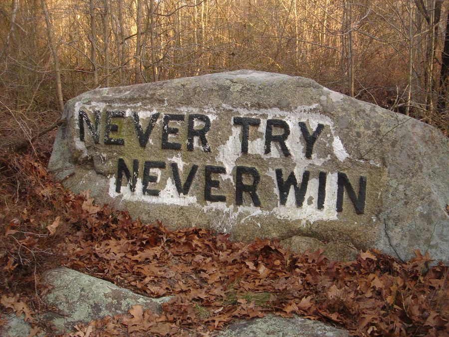 One of Dogtowns famous Babson boulders- inscribed with an inspirational phrase.