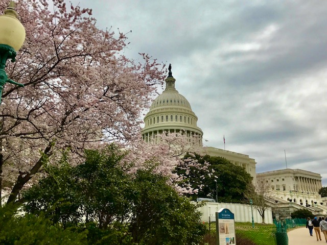 View of the US Capitol in March 2017, taken on our 8th grade trip to D.C. 