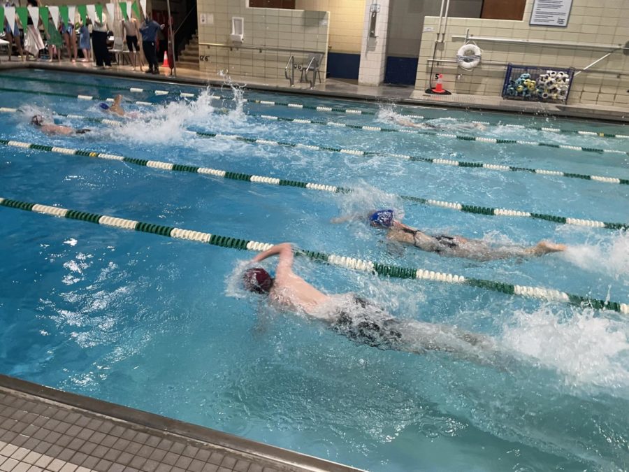 Gloucester and Swampscott swimmers compete in a freestyle event.