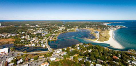 On efforts to preserve Gloucesters ecosystemic balance