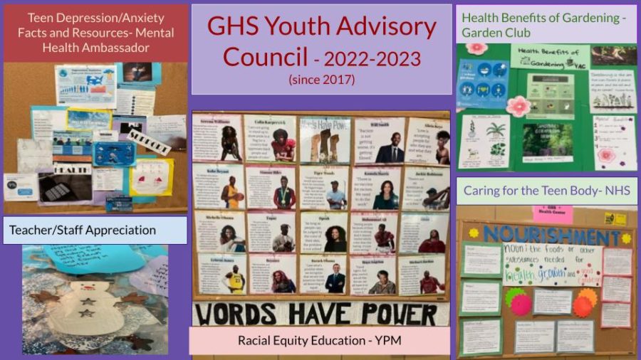 GHS Youth Advisory Council seeks members