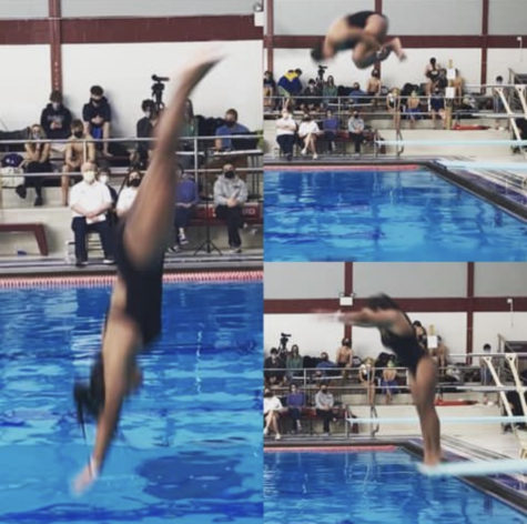 Ari Priest diving at the sectionals meet at the Mucciaccio pool in Dedham last year. 