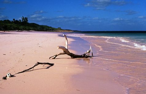 Eleuthera Pink Sand Harbour Island, Bahamas