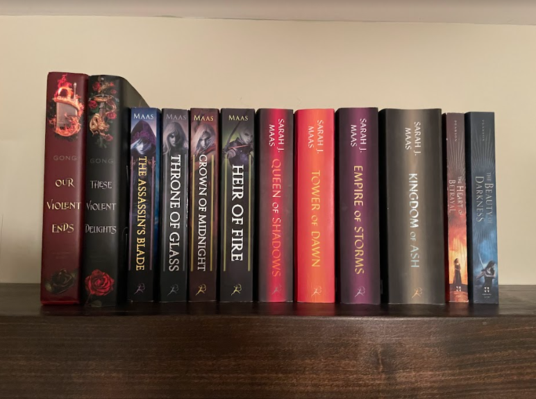 Santana Farias personal collection of YA fantasy books
