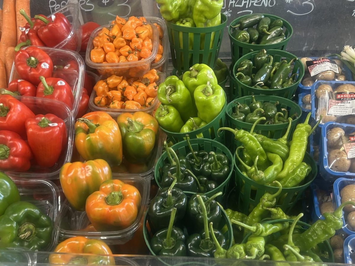 A colorful display of fresh vegetables at Renninger's Flea and Farmer's Market in Melbourne, Florida.