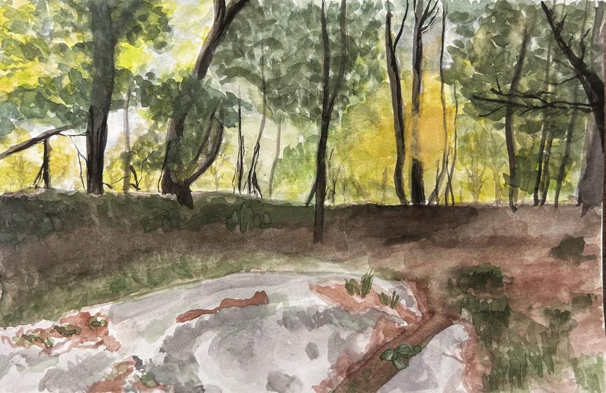 "Mag Park" Is an 8x10 watercolor drawing of the Magnolia Park. 